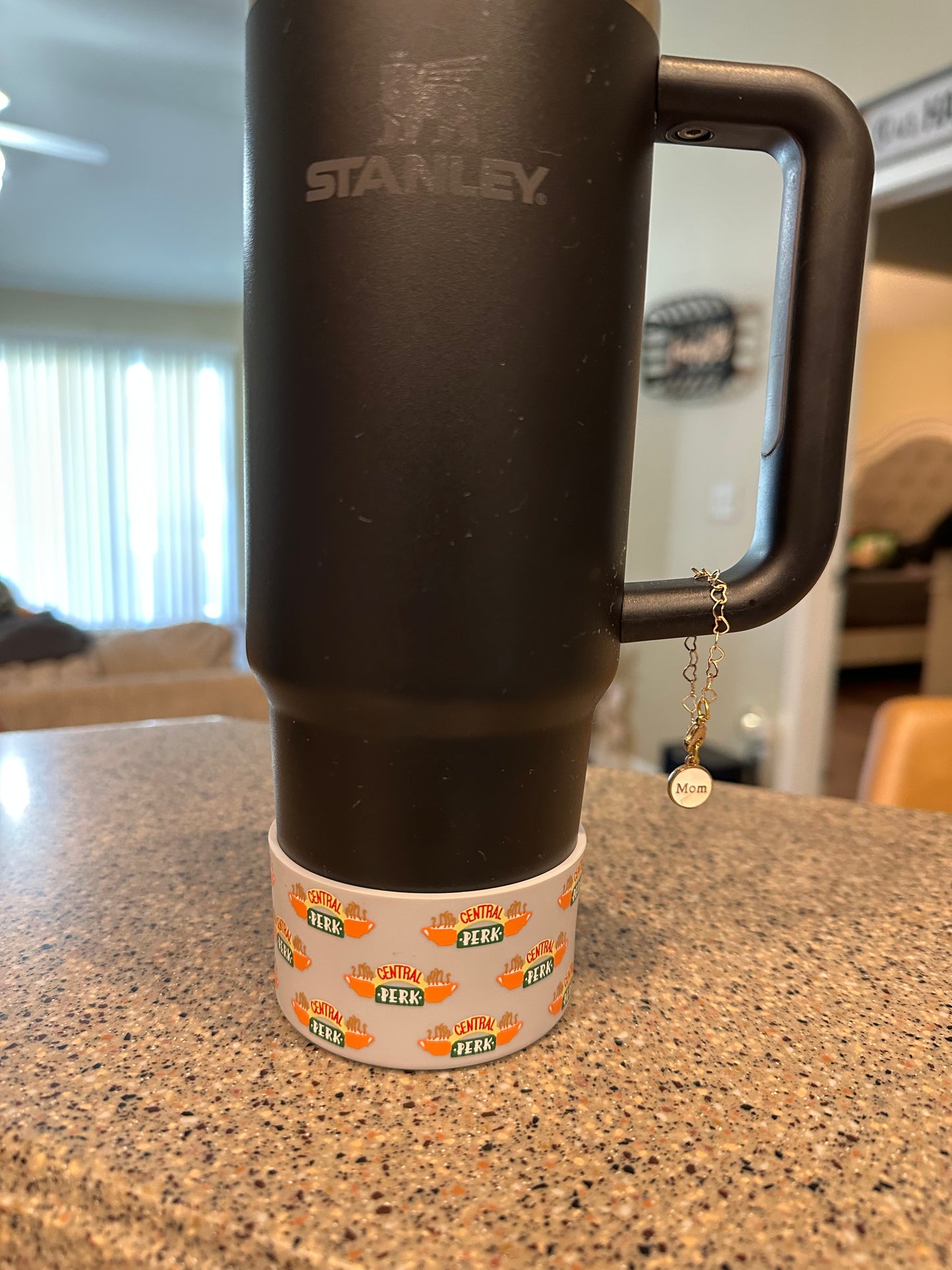 Friends Silicone Tumbler Boot for 30/40 oz Stanley/ Dupe Tumblers